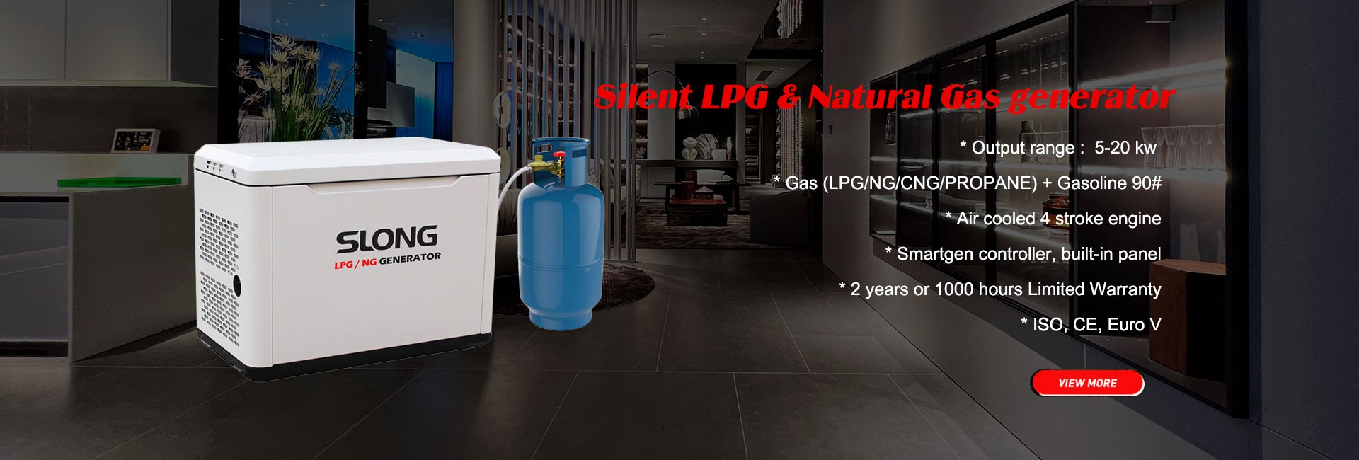 Silent LPG & Natural Gas generator